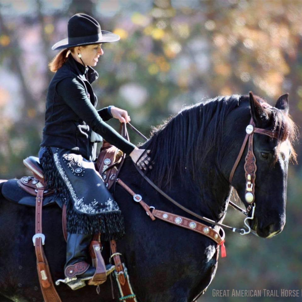 Percheron Horses